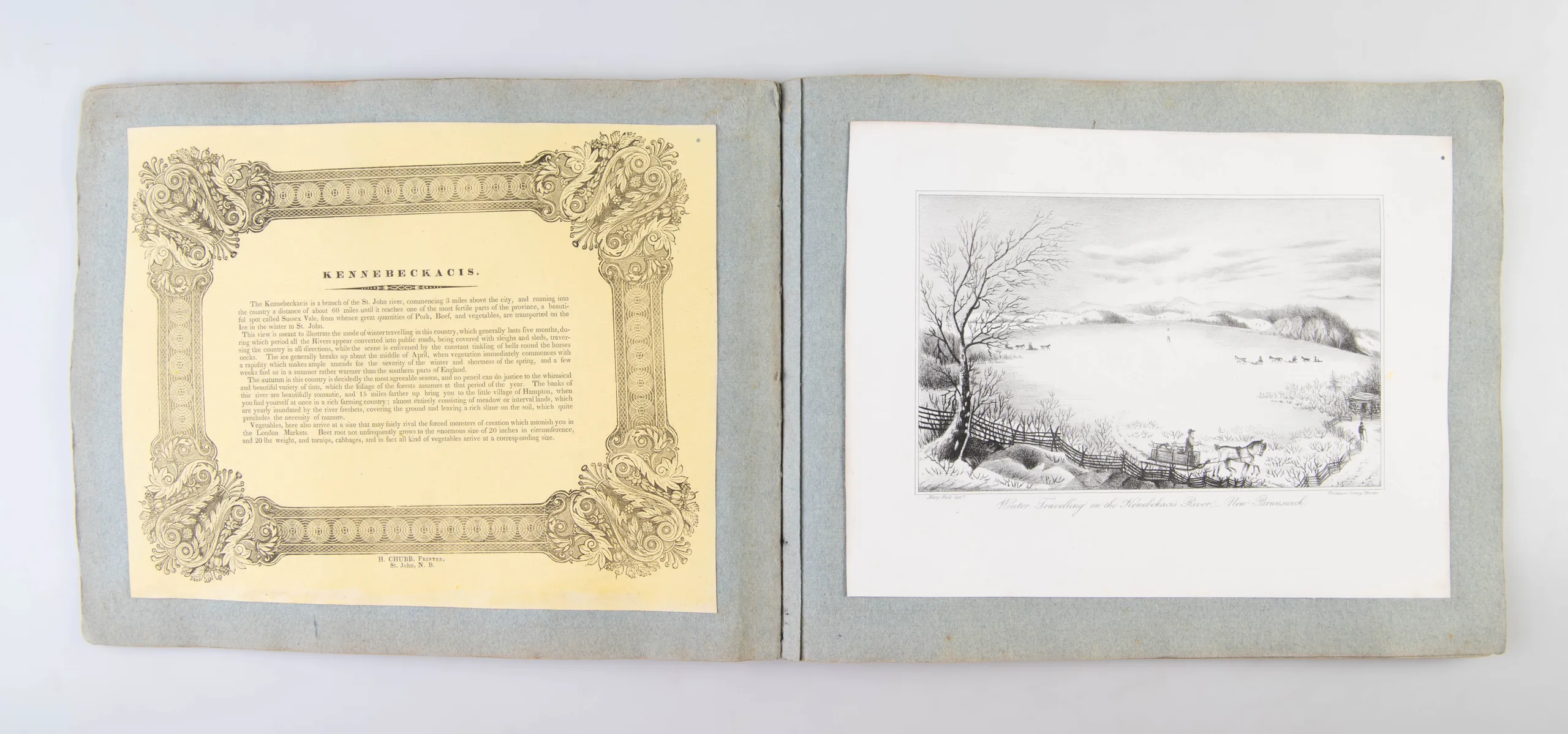 Views of British America drawn from nature, and on stone.