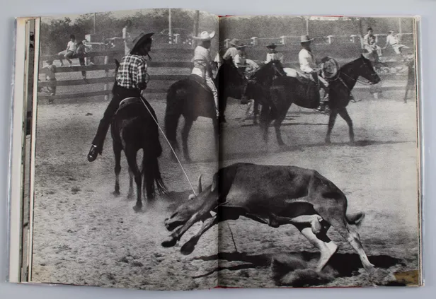 Mexico Shashinshu [A Photobook of Mexico].