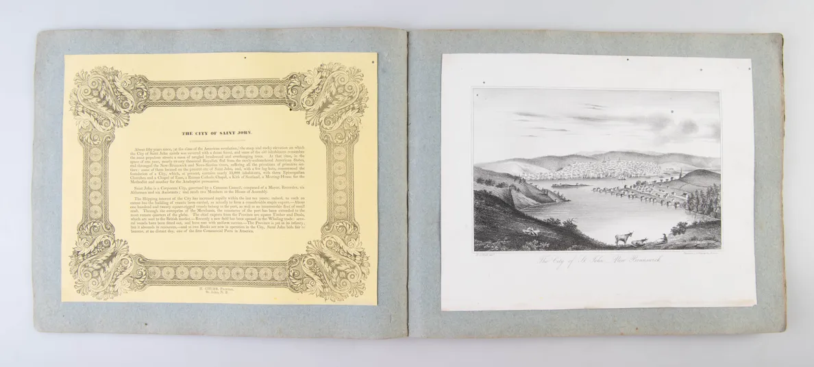 Views of British America drawn from nature, and on stone.