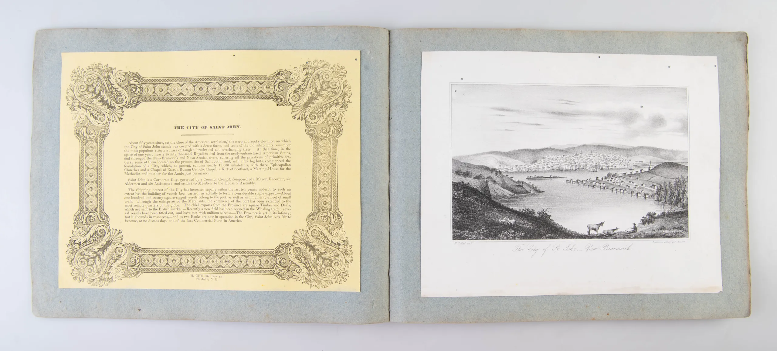 Views of British America drawn from nature, and on stone.