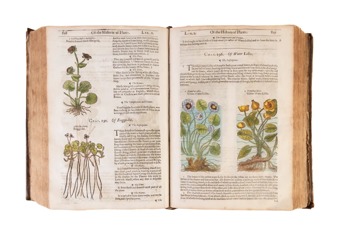 The Herball or Generall Historie of Plantes.