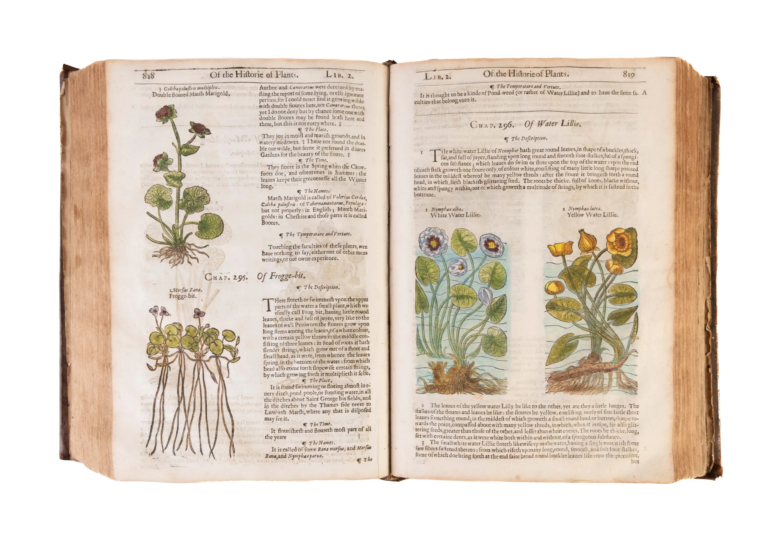 The Herball or Generall Historie of Plantes.