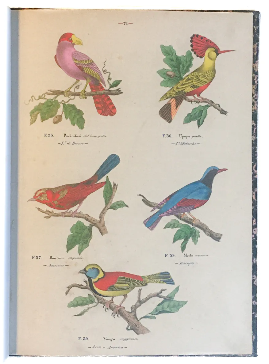 [Three illustrated notebooks.]
