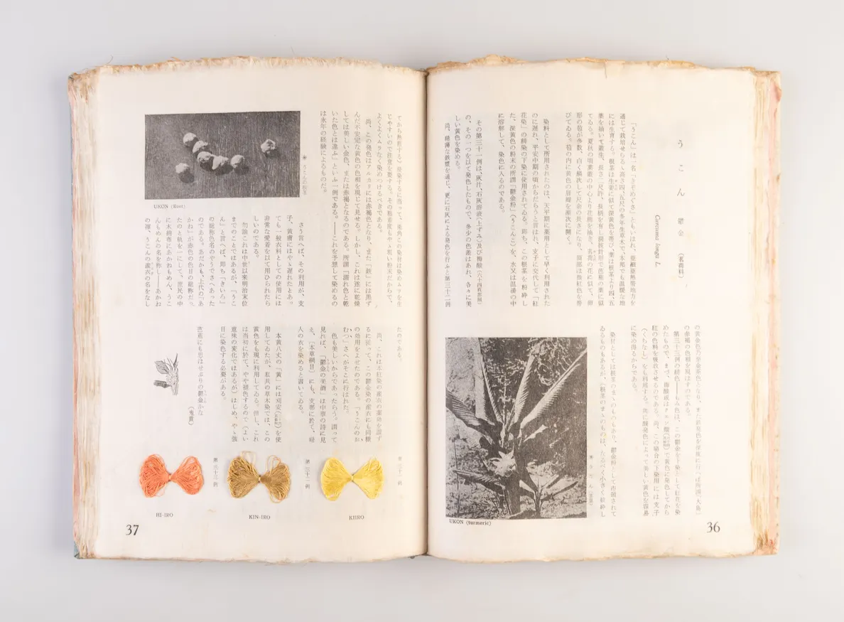 Nihon kuzakizome fu [Japanese plant dyeing manual] / Monograph of Plant-Dyeing Peculiar to Japan