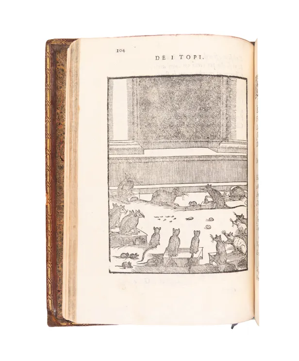 Cento favole morali de i piu illustri antichi & moderni autori Greci, & Latini.
Venice, Franceso Ziletti, 1586