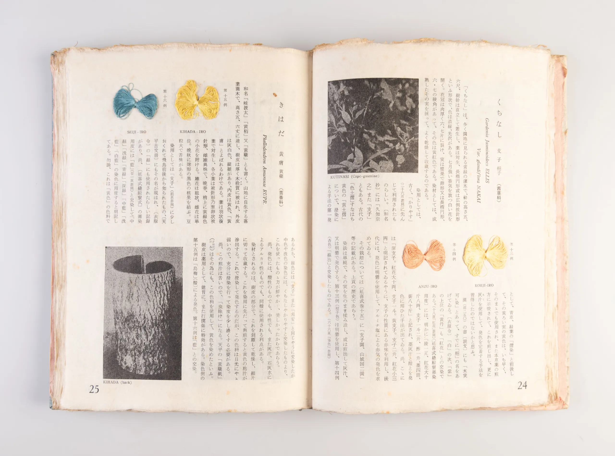 Nihon kuzakizome fu [Japanese plant dyeing manual] / Monograph of Plant-Dyeing Peculiar to Japan