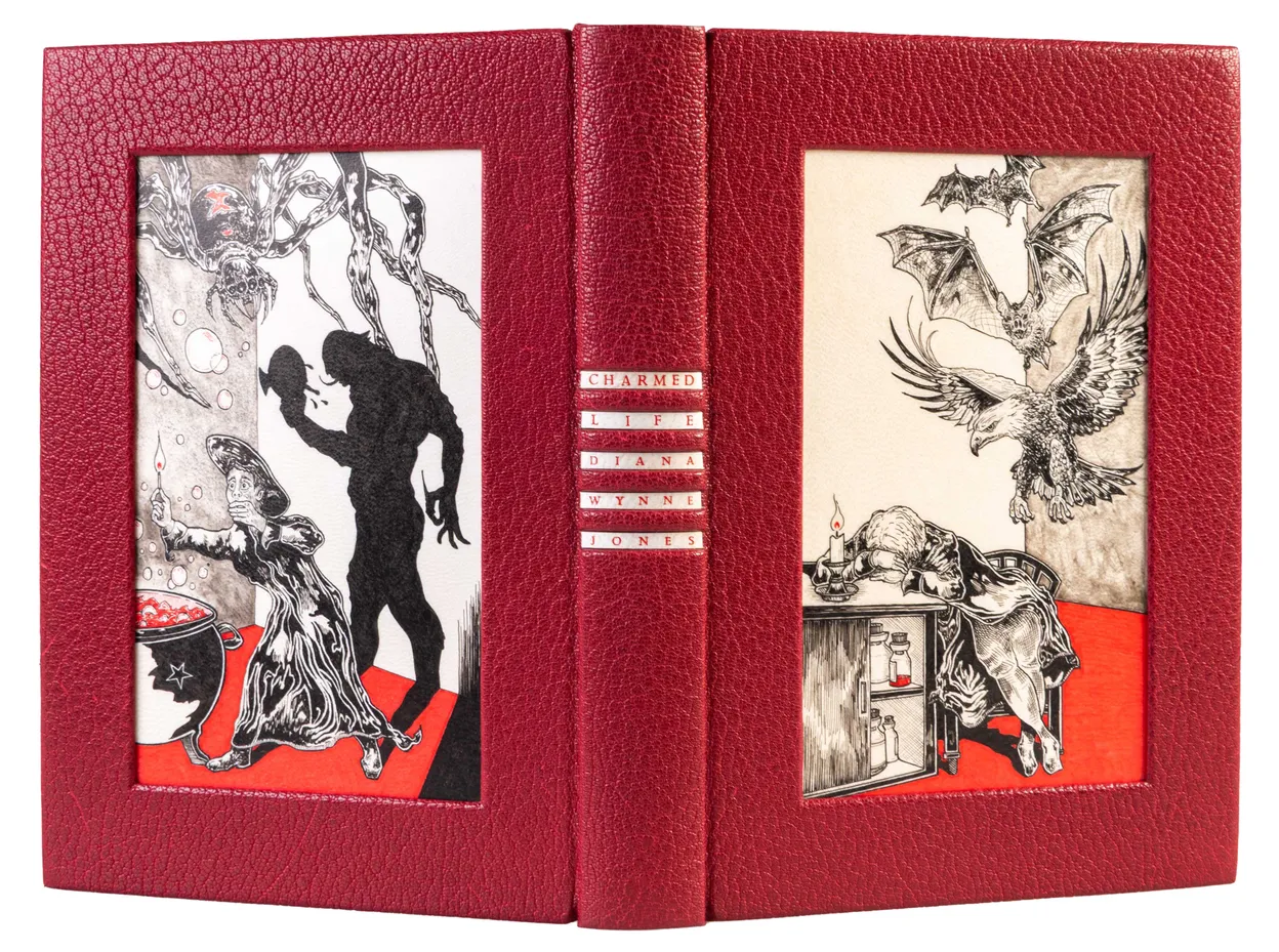 8 Luke Hornus, set book 2 copy