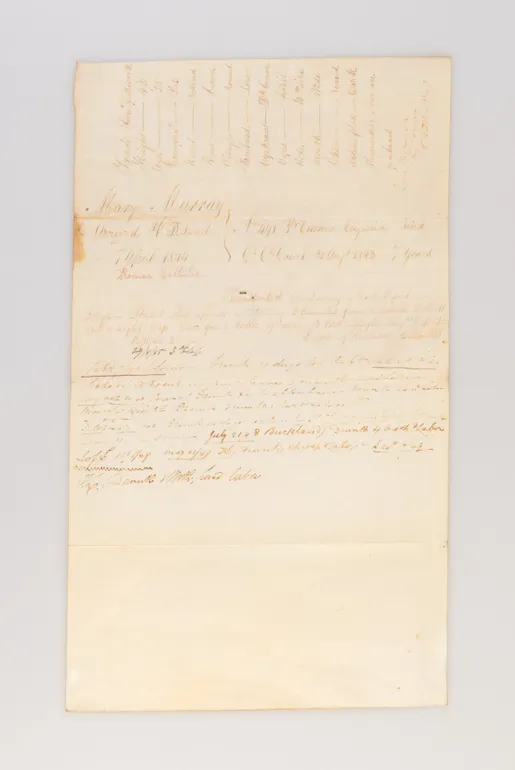 [Four convict disciplinary reports: Mary Murray, Mary Ann North, James Woolf and William White.]