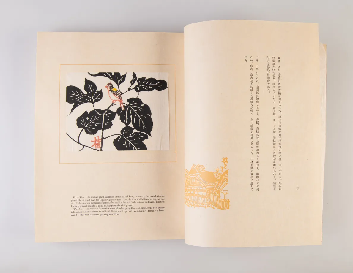 Tesuki no kami [Handmade paper]