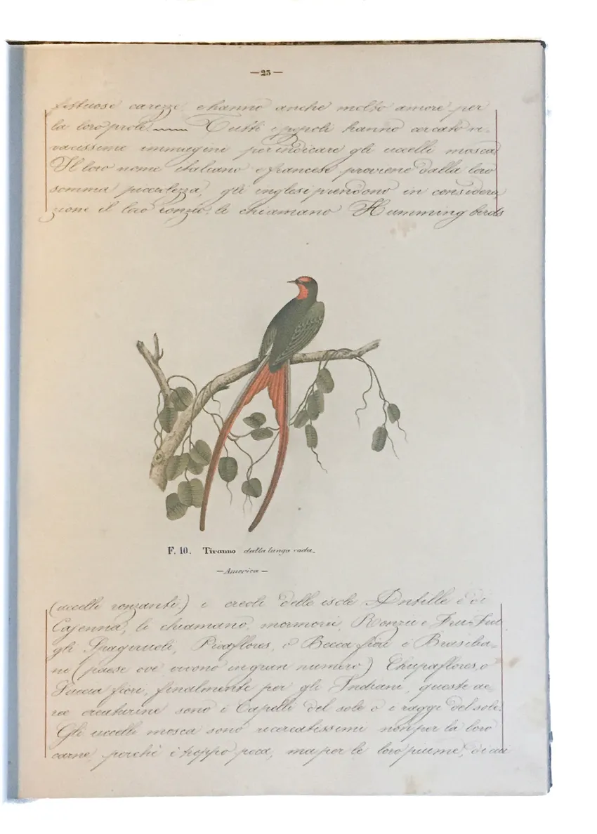 [Three illustrated notebooks.]