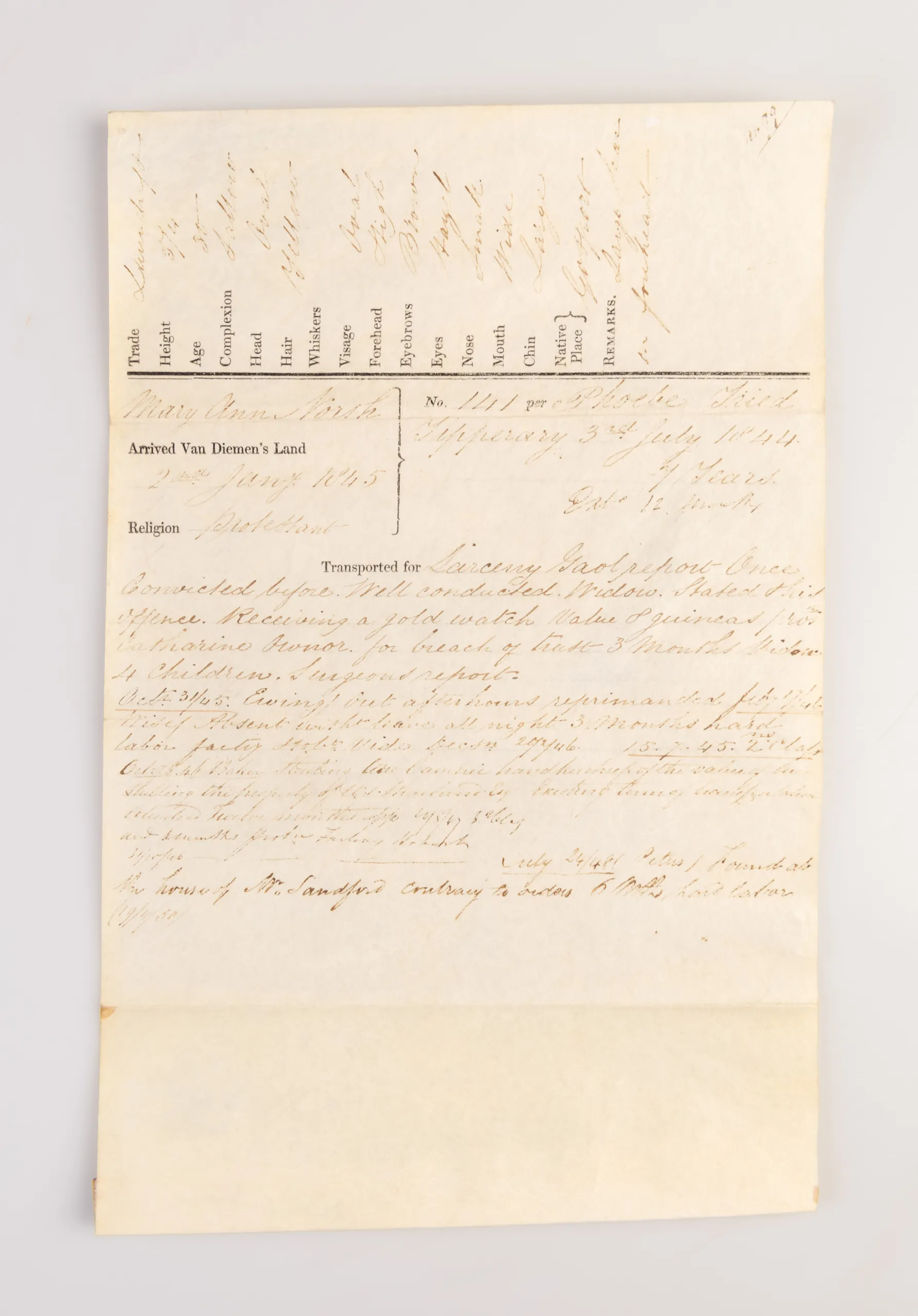[Four convict disciplinary reports: Mary Murray, Mary Ann North, James Woolf and William White.]