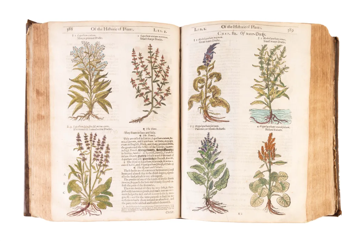 The Herball or Generall Historie of Plantes.
