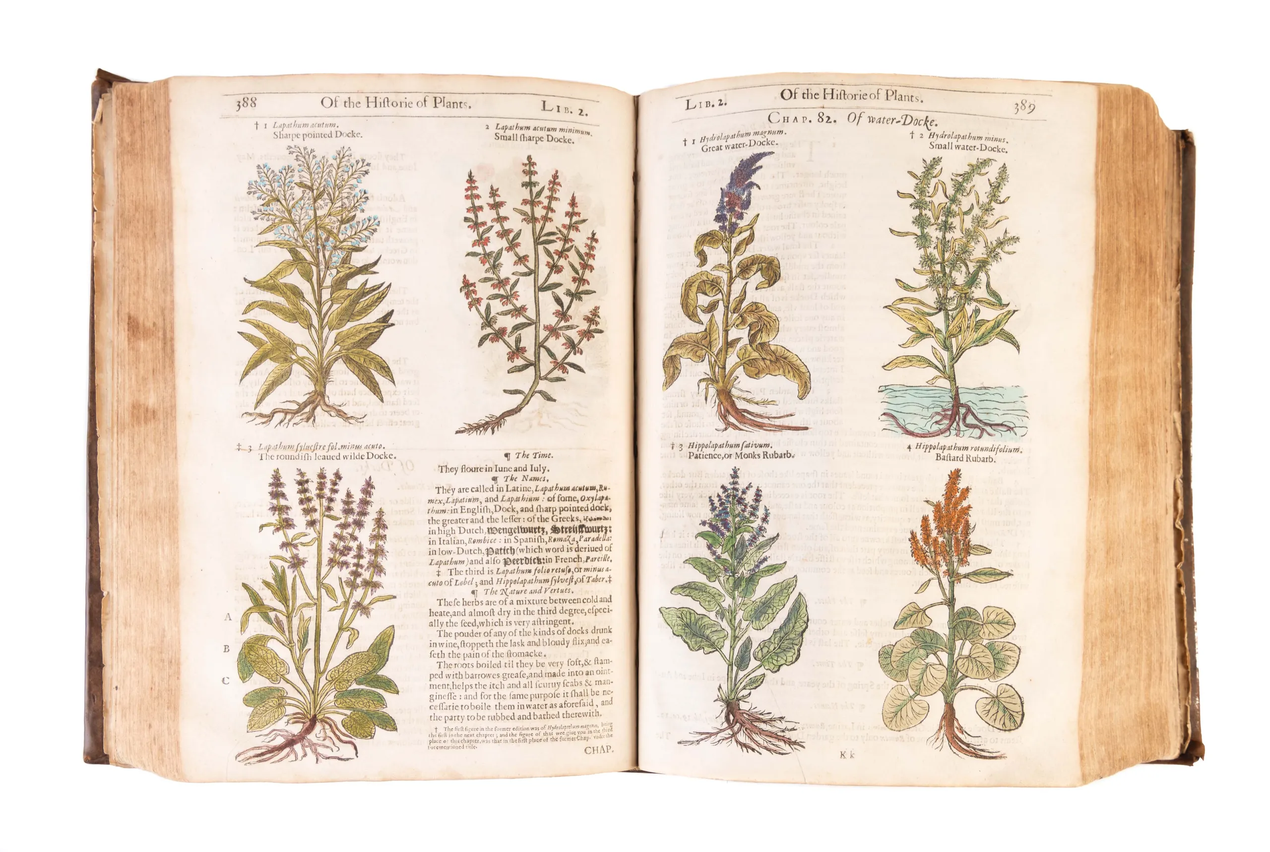 The Herball or Generall Historie of Plantes.