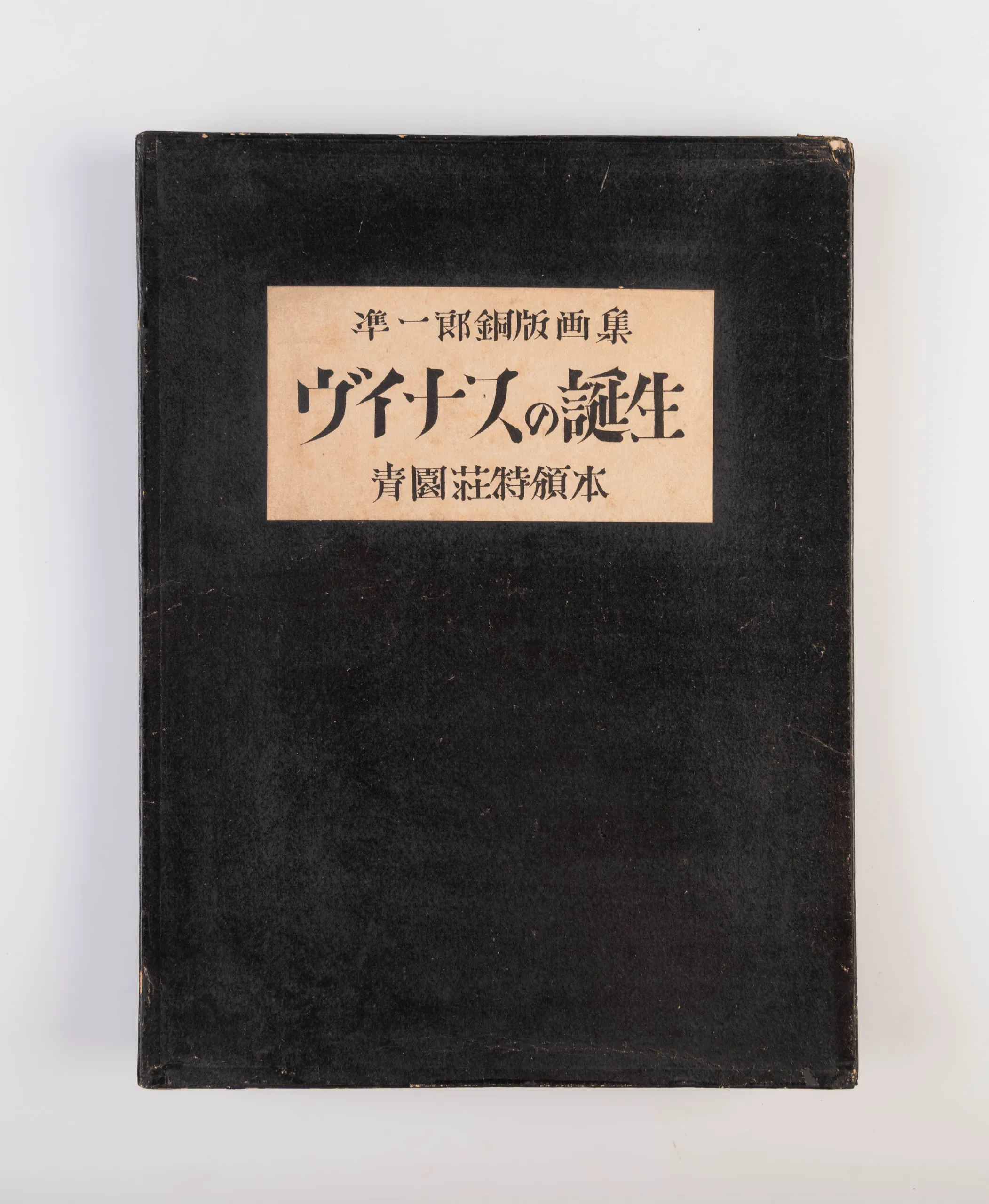 Vuinasu no danjo [The Birth of Venus].