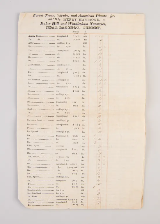 Forest Trees, Shrubs and American Plants, &c. Sold by Henry Hammond, at Dukes Hill and Windelsham Nurseries.