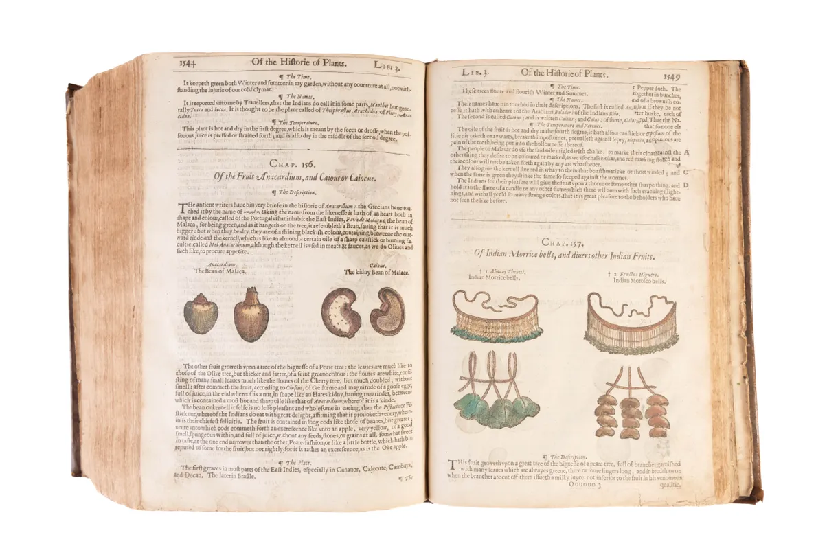 The Herball or Generall Historie of Plantes.