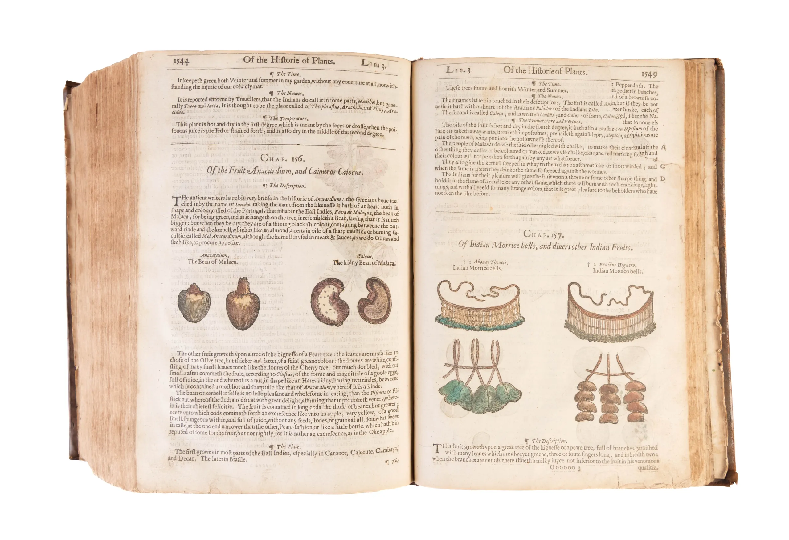 The Herball or Generall Historie of Plantes.