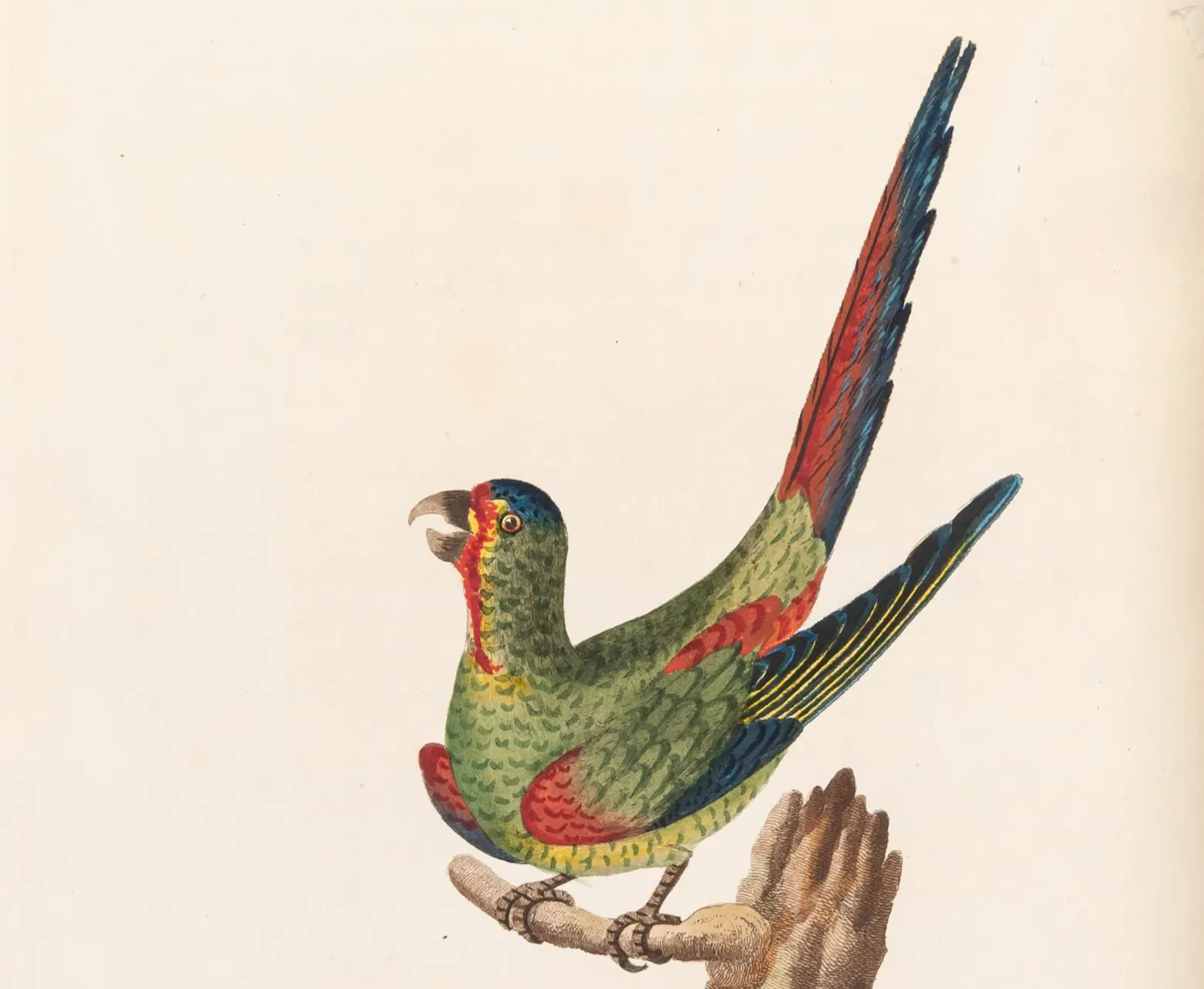 Easter Opening Hours