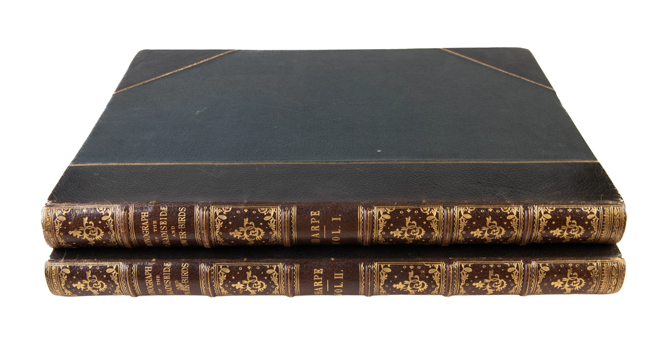 Monograph of the Paradiseidae, or Birds of Paradise, and Ptilonorhynchidae, and Bower-Birds