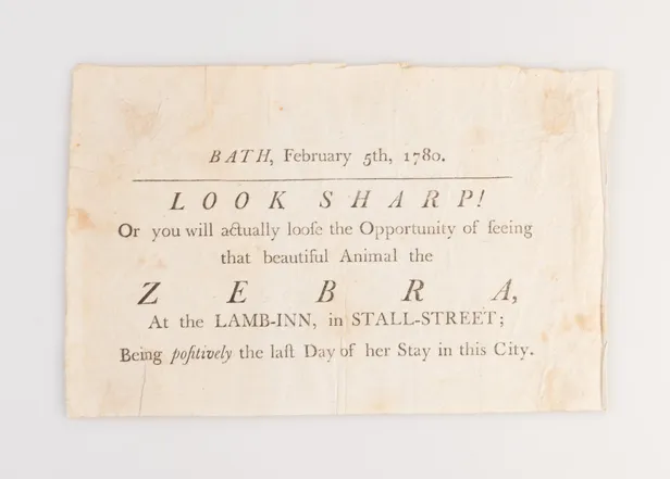Bath, February 5th, 1780. Look Sharp! Or you will actually loose the Opportunity of seeing that beautiful Animal the Zebra,