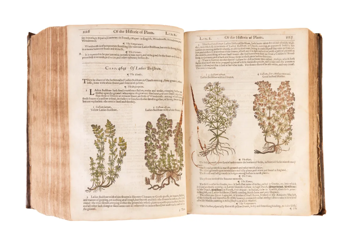 The Herball or Generall Historie of Plantes.