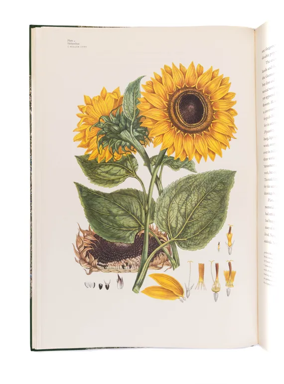 Great Flower Books 1700 - 1900. A Bibliographical Record of two Centuries of finely-illustrated Flower Books.