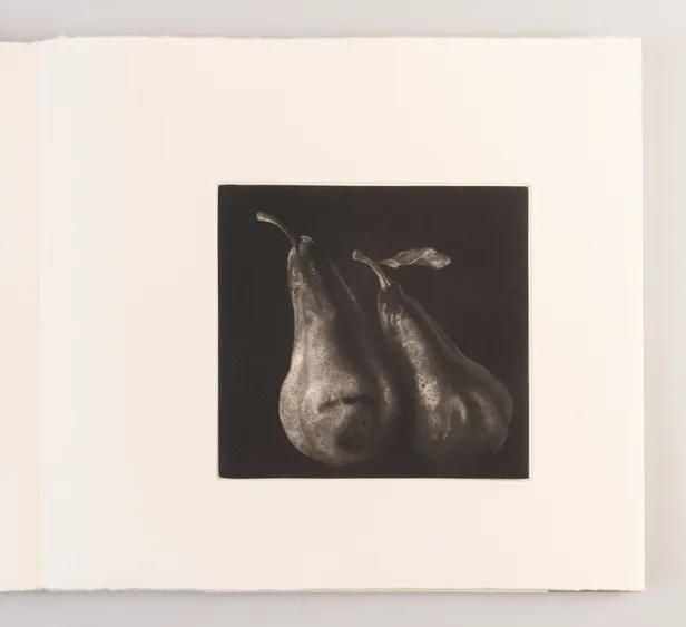 Study of Two Pears / Etude de Deux Poires
