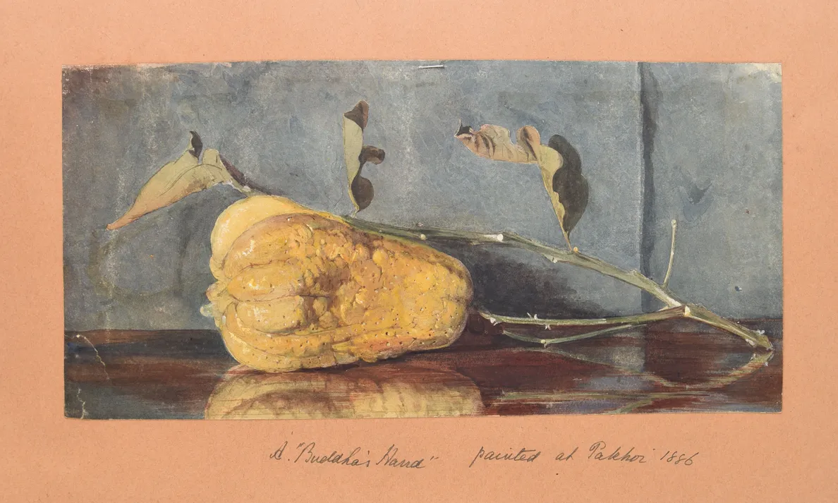 Four large albums of watercolours, photographs and ephemera.
