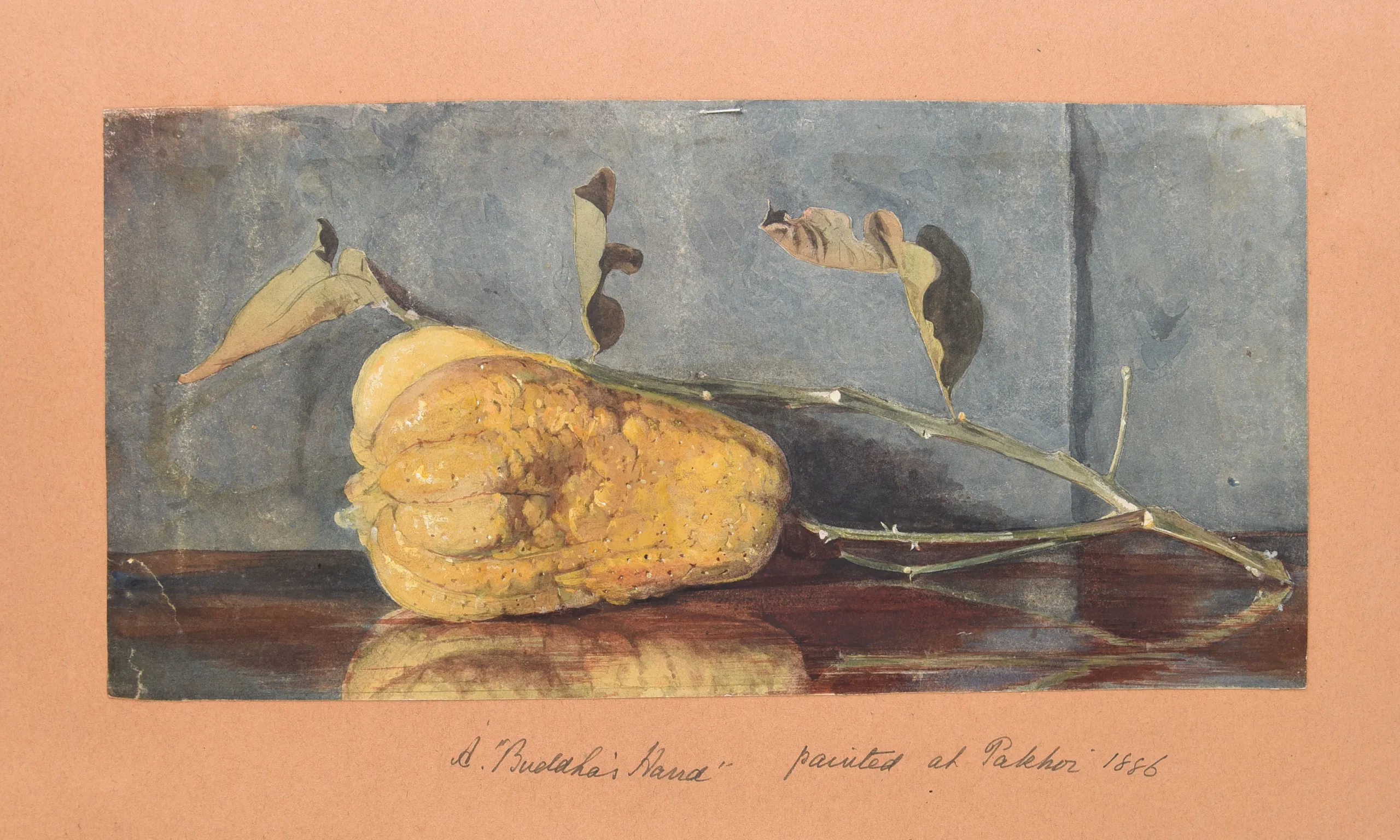 Four large albums of watercolours, photographs and ephemera.