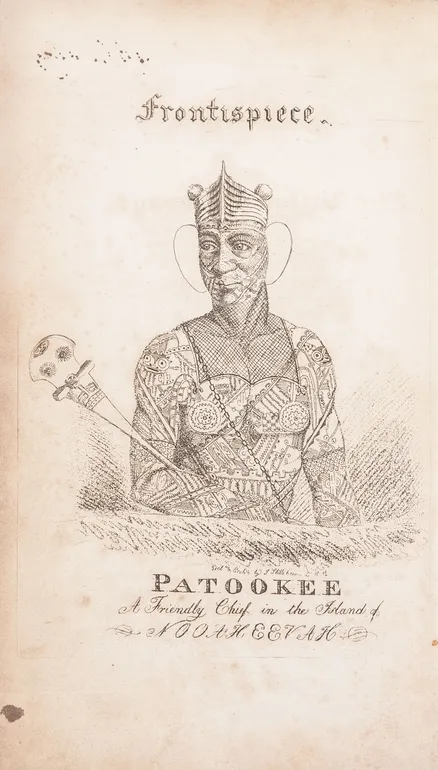 A Narrative of the Briton's Voyage, to Pitcairn's Island; including an interesting sketch of the state of the Brazils and of Spanish South America.
