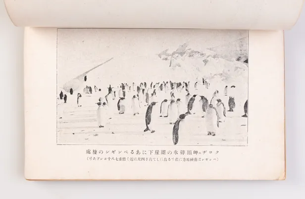 Nankyoku Tanken [Expedition to Antarctica].