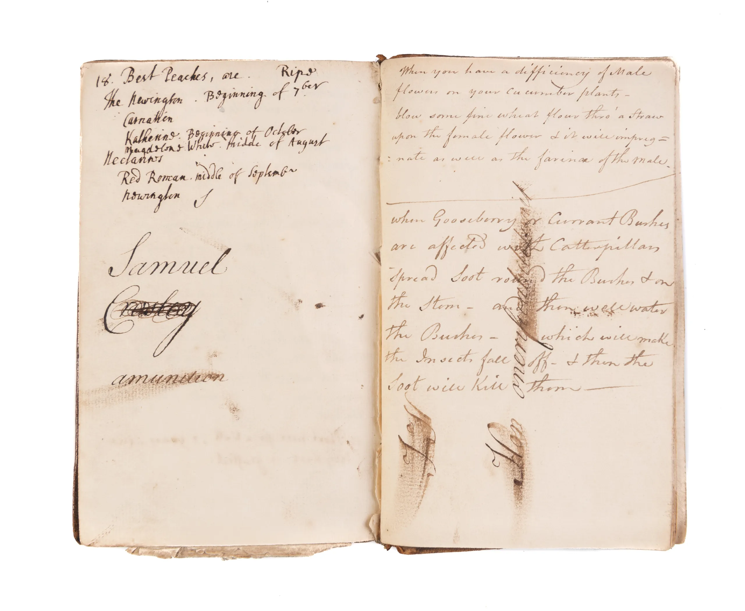 The Country Gentleman's Vade Mecum.