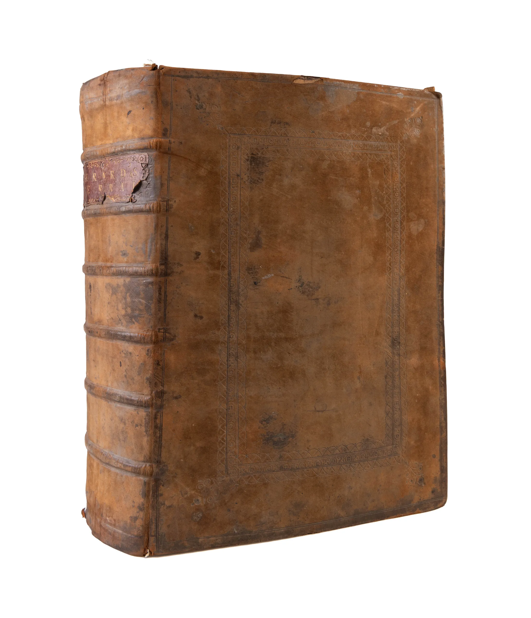 The Herball or Generall Historie of Plantes.