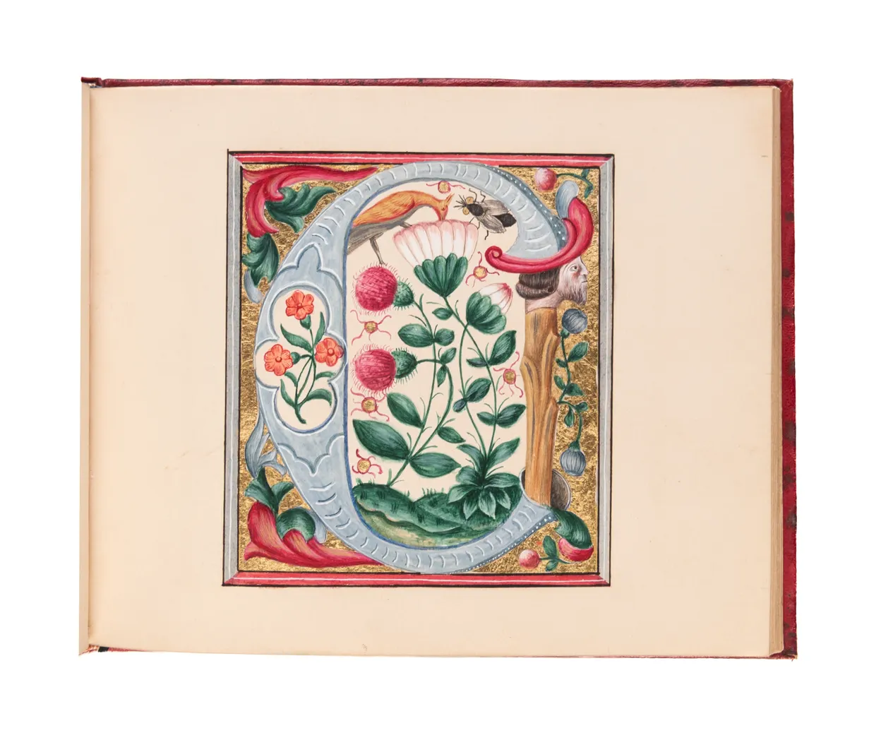 A suite of large neo-gothic illuminated initials.
[France, c. 1840-60?]