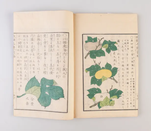 Jindai goshu kaiko hanachigai no den [Ancient Traditions of Sericulture].