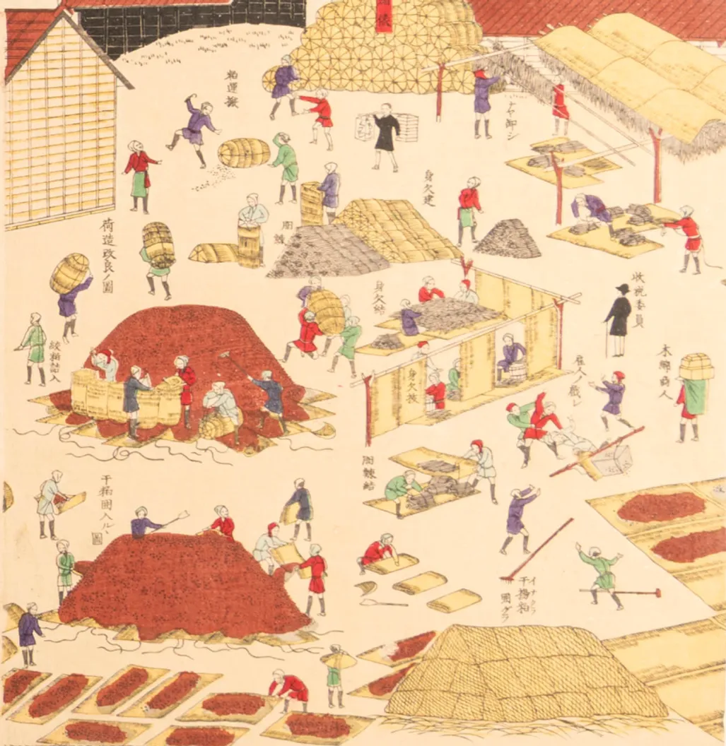 Recent Acquisitions & Autumn Highlights