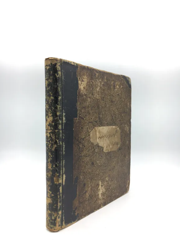 Log of the ships 