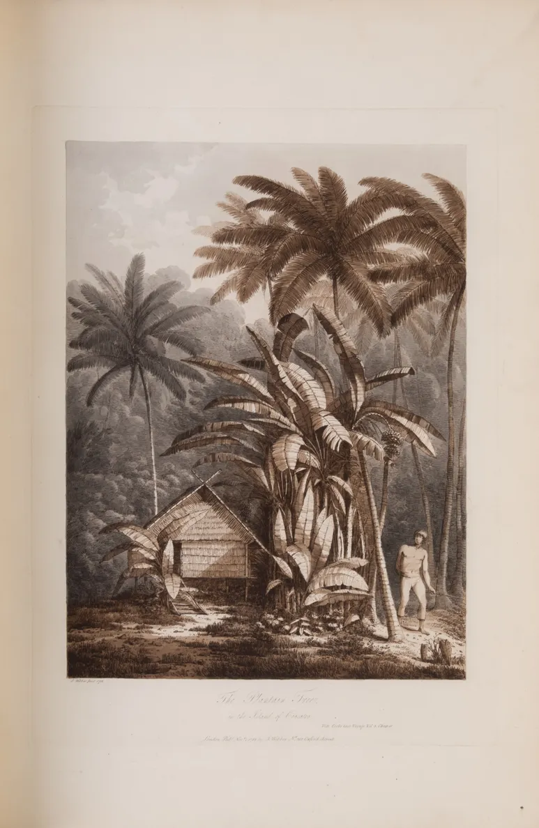 [Views in the South Seas.]