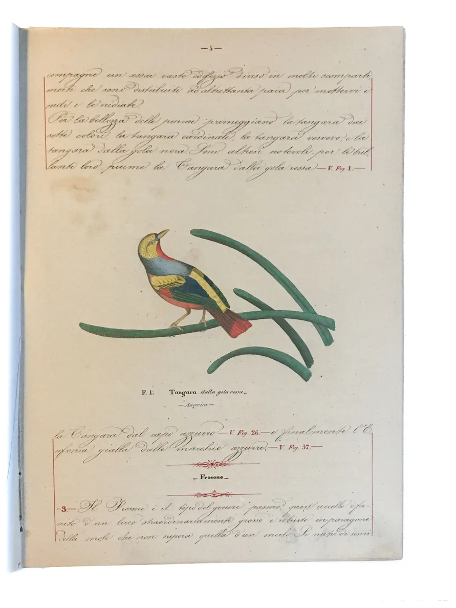 [Three illustrated notebooks.]