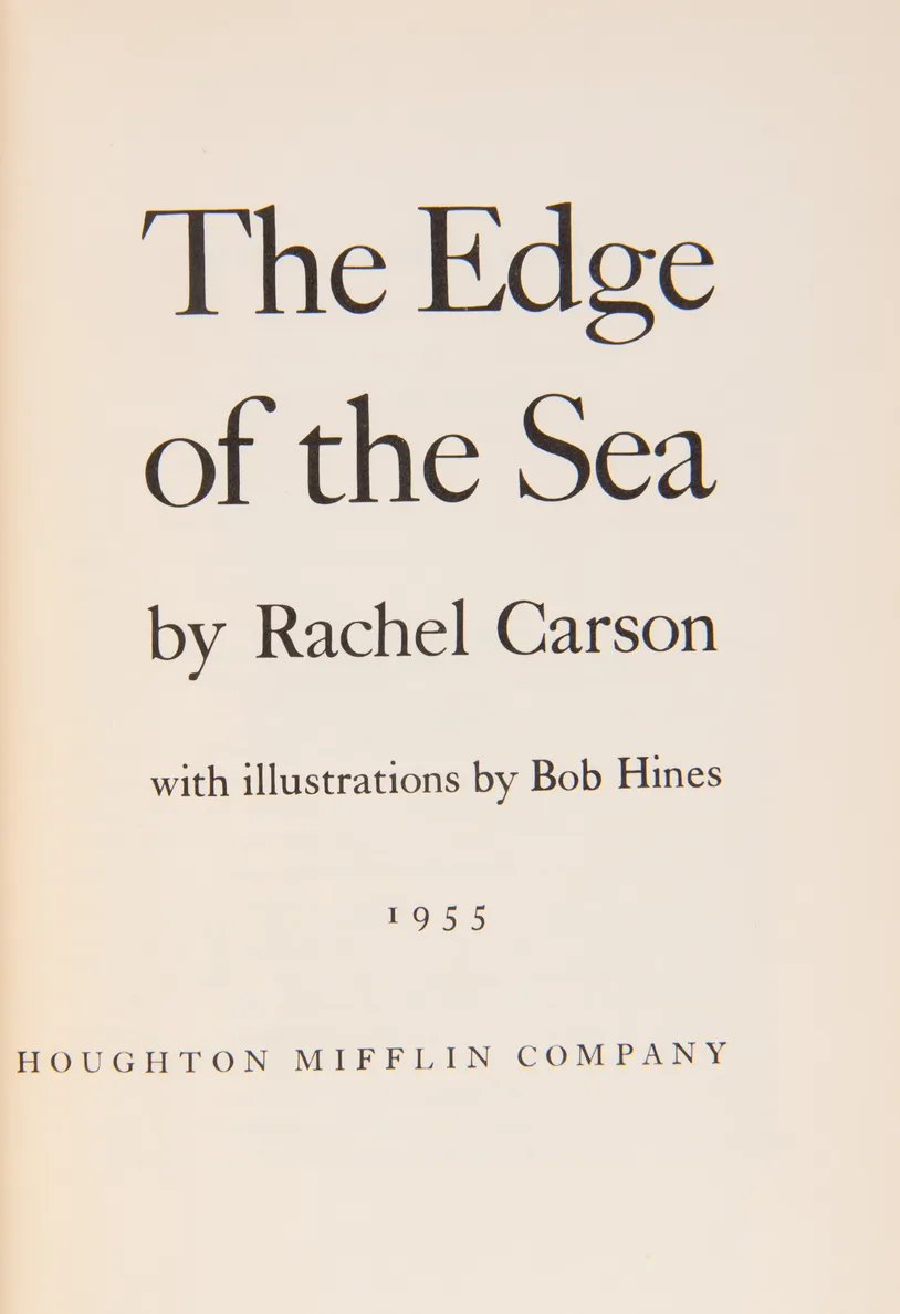 The Edge of the Sea.