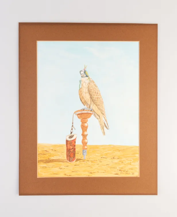 [Watercolour of a falcon in Abu Dhabi.]