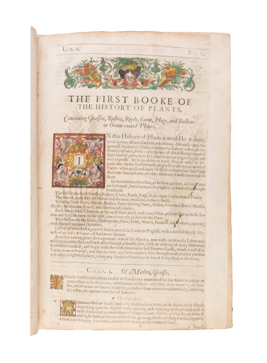 The Herball or Generall Historie of Plantes.