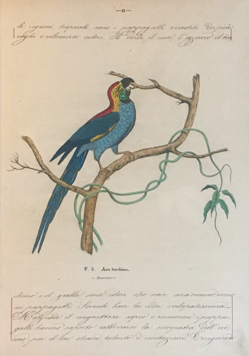 [Three illustrated notebooks.]