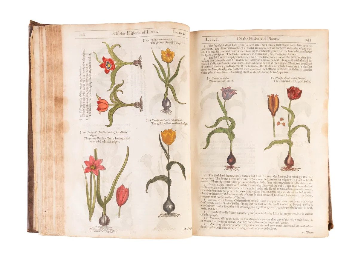 The Herball or Generall Historie of Plantes.