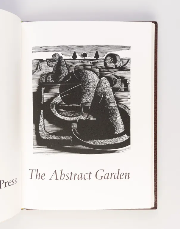 Abstract Garden