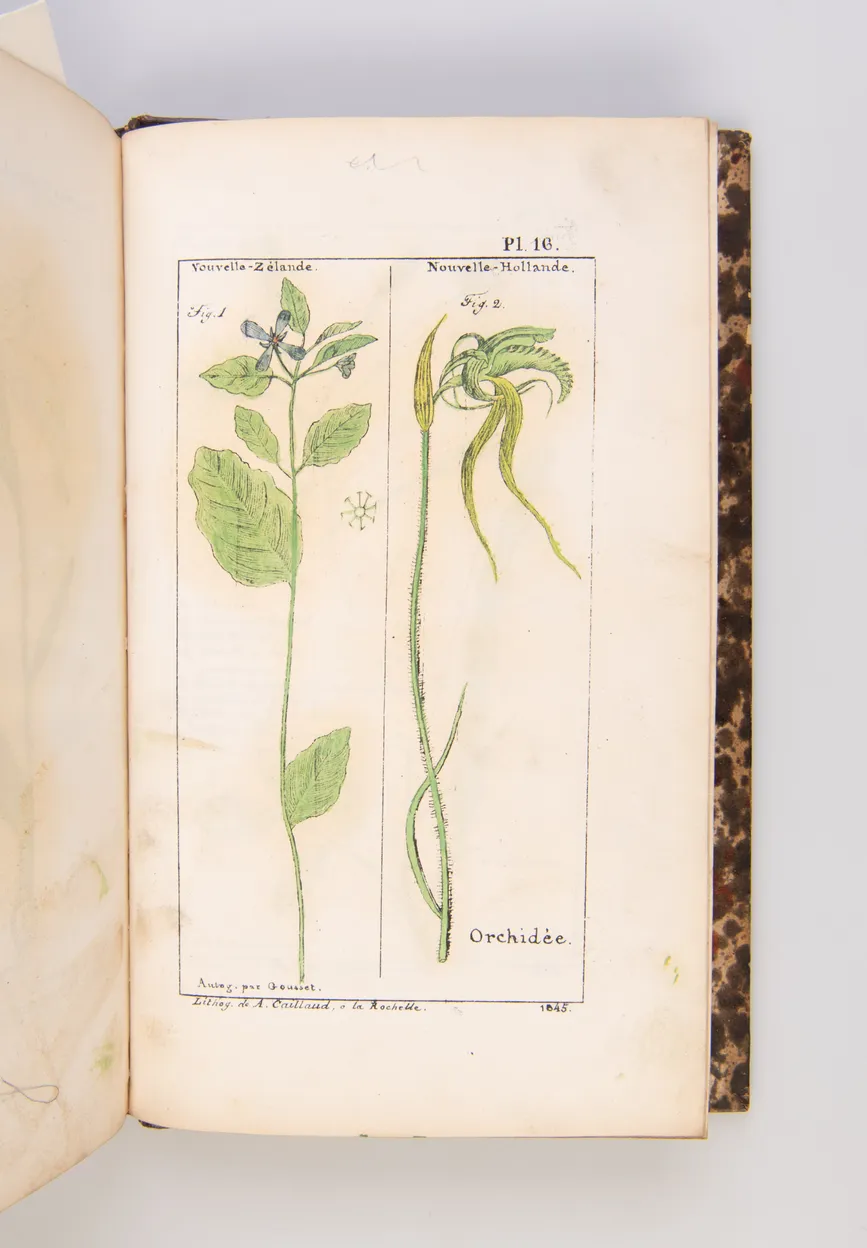 Voyage aux Iles Mangareva, Oceanie.