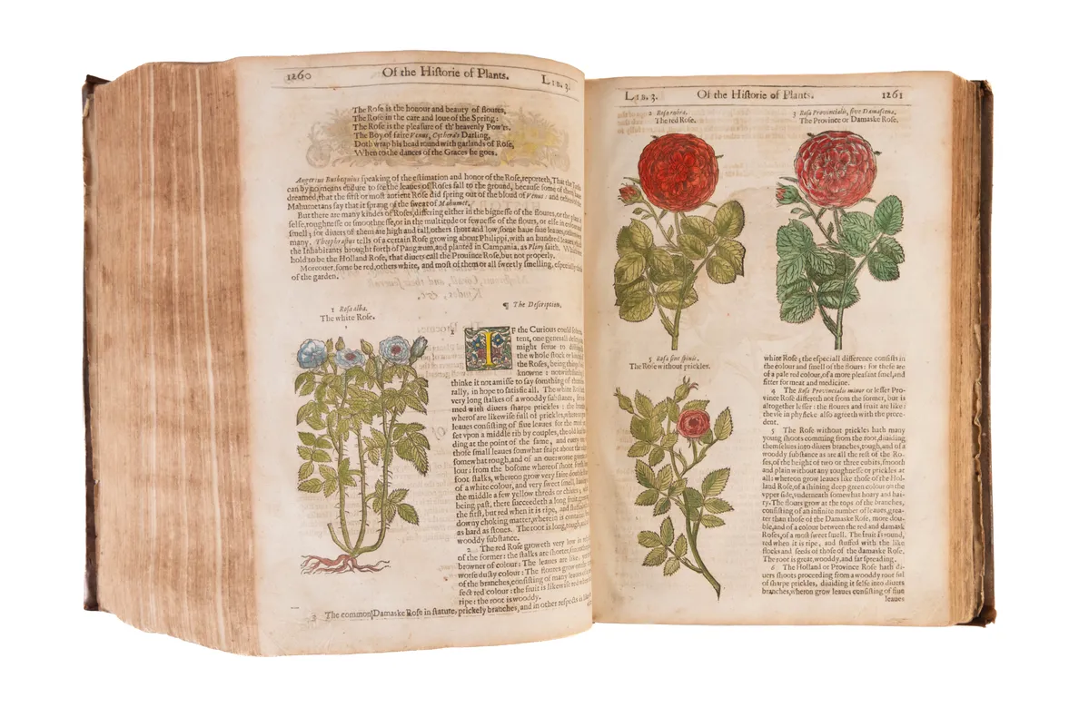 The Herball or Generall Historie of Plantes.