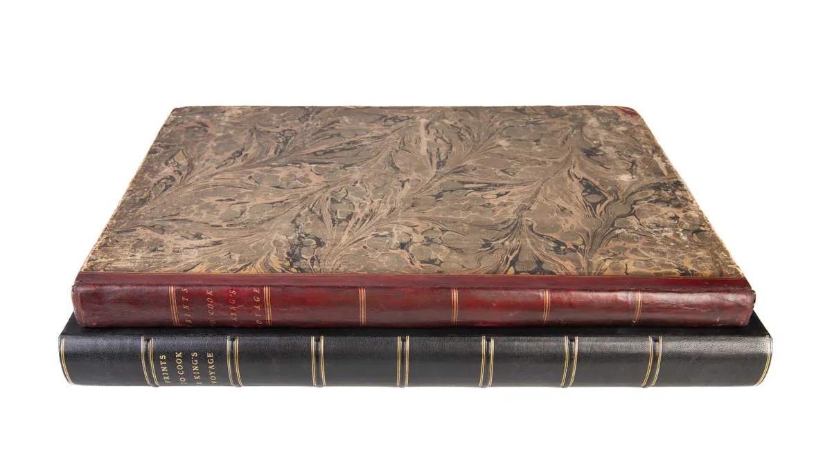 [Views in the South Seas.]