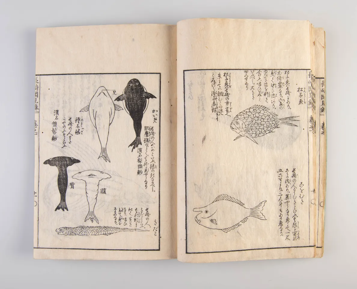 Nagasaki bunken-roku. [Heard and seen in Nagasaki].
