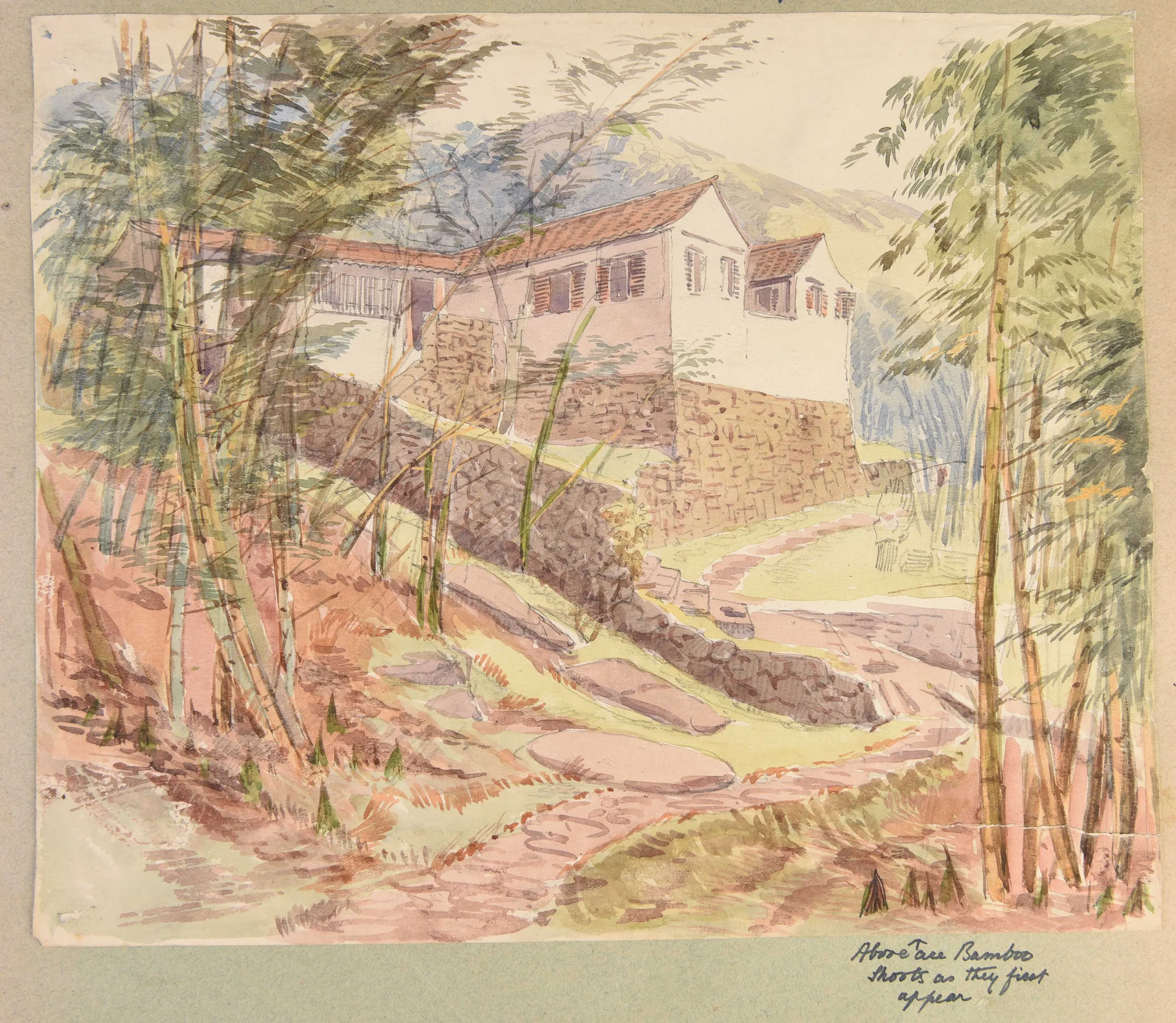 Four large albums of watercolours, photographs and ephemera.